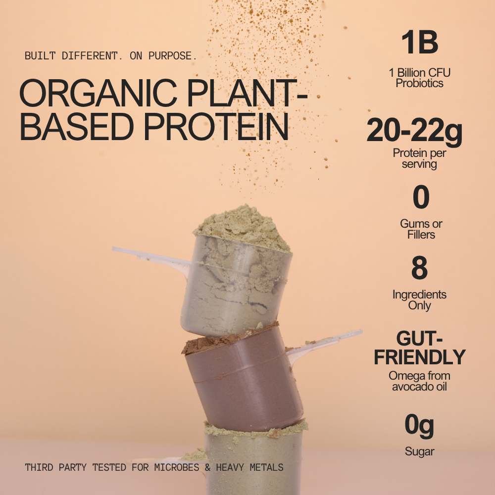 packs de proteína para llevar: pack variado